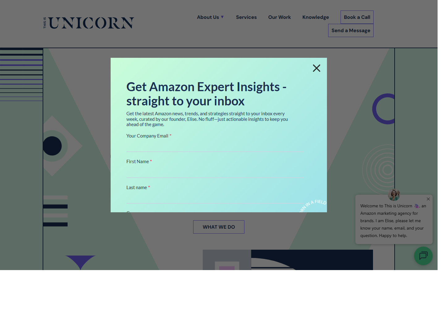 This is Unicorn website homepage preview